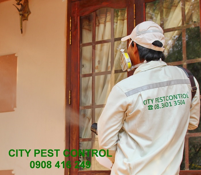 Công ty diệt côn trùng City Pest Control